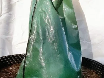 Bevattningssäck