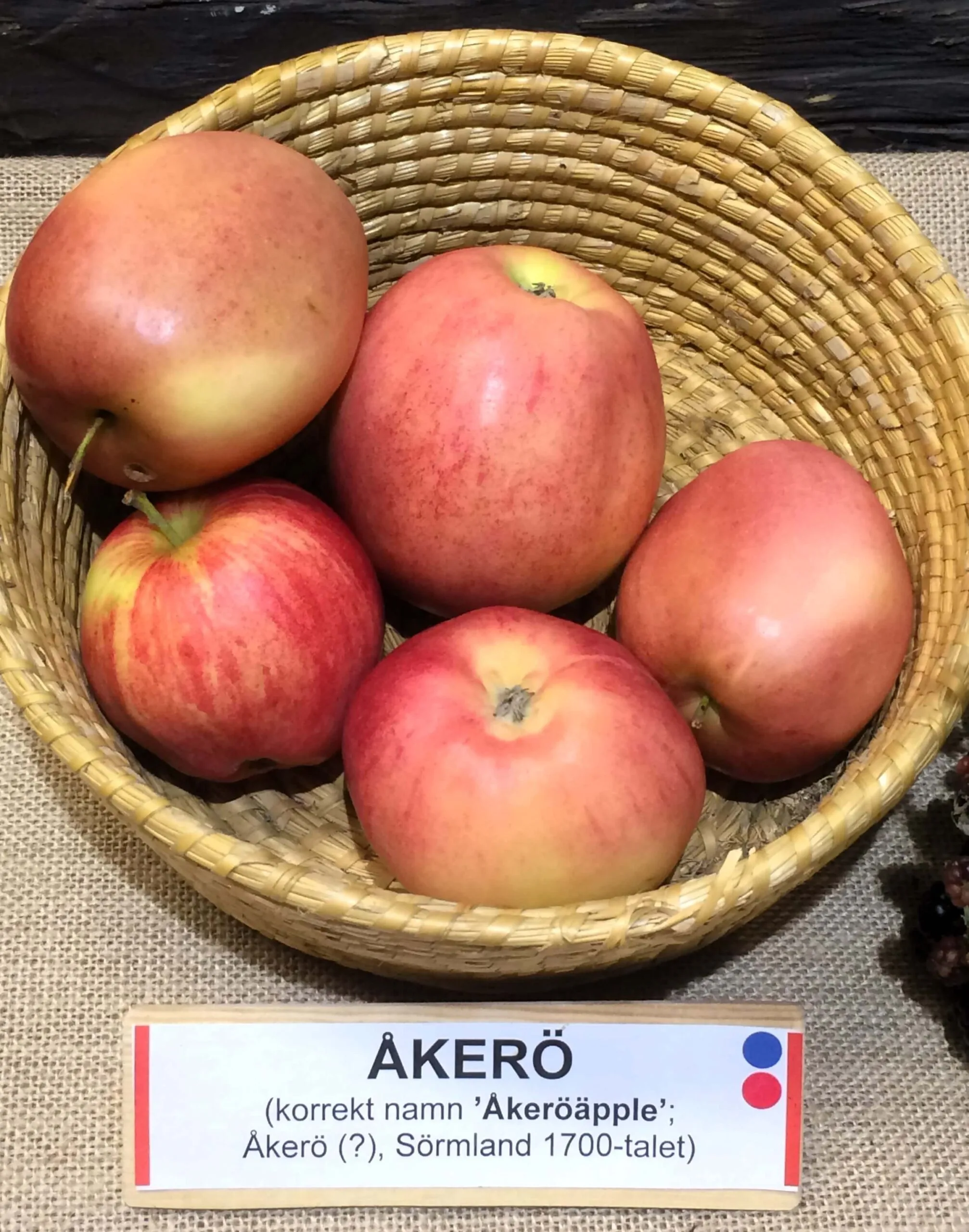 Malus domestica 'Åkerö'