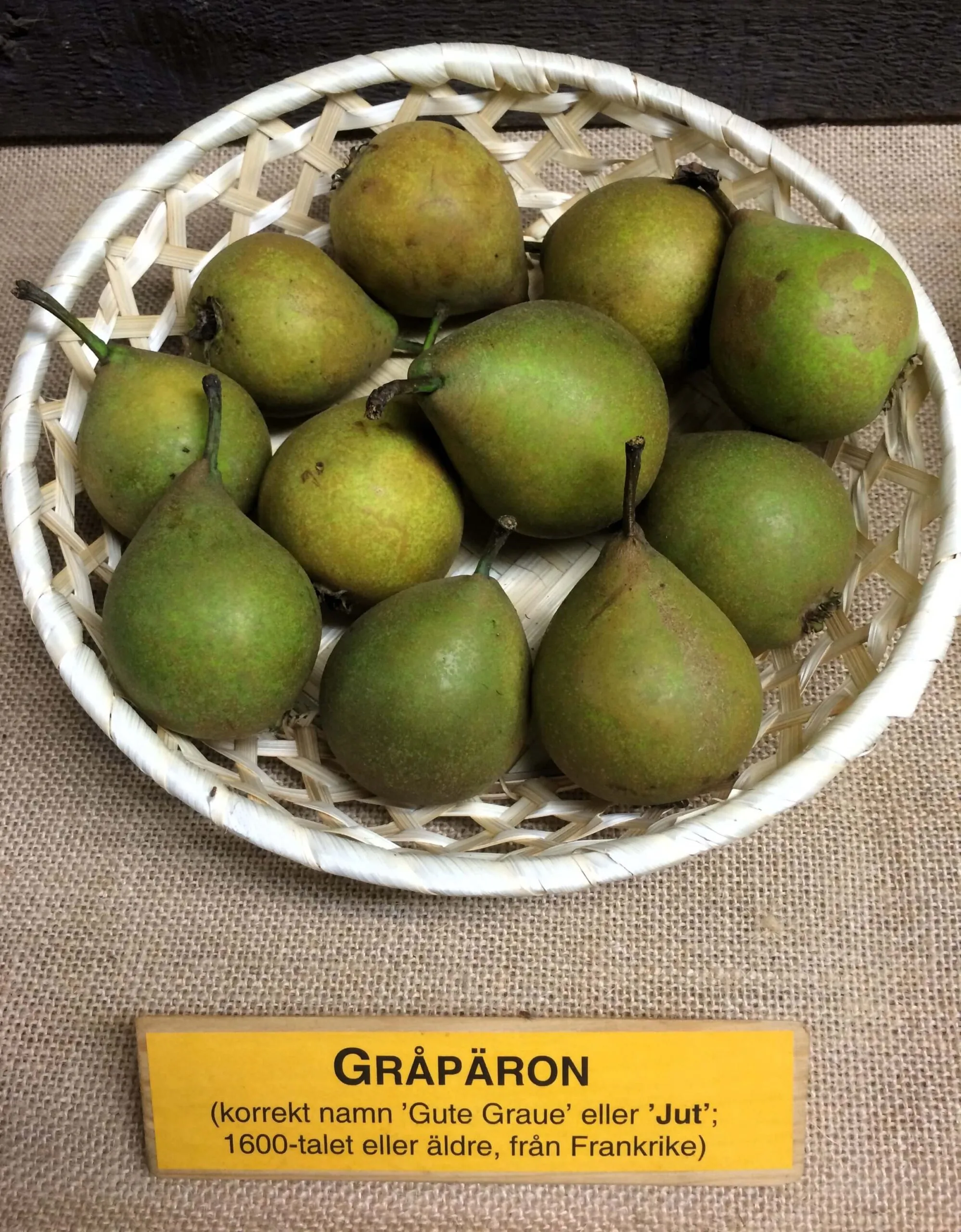 Pyrus communis 'Gråpäron'