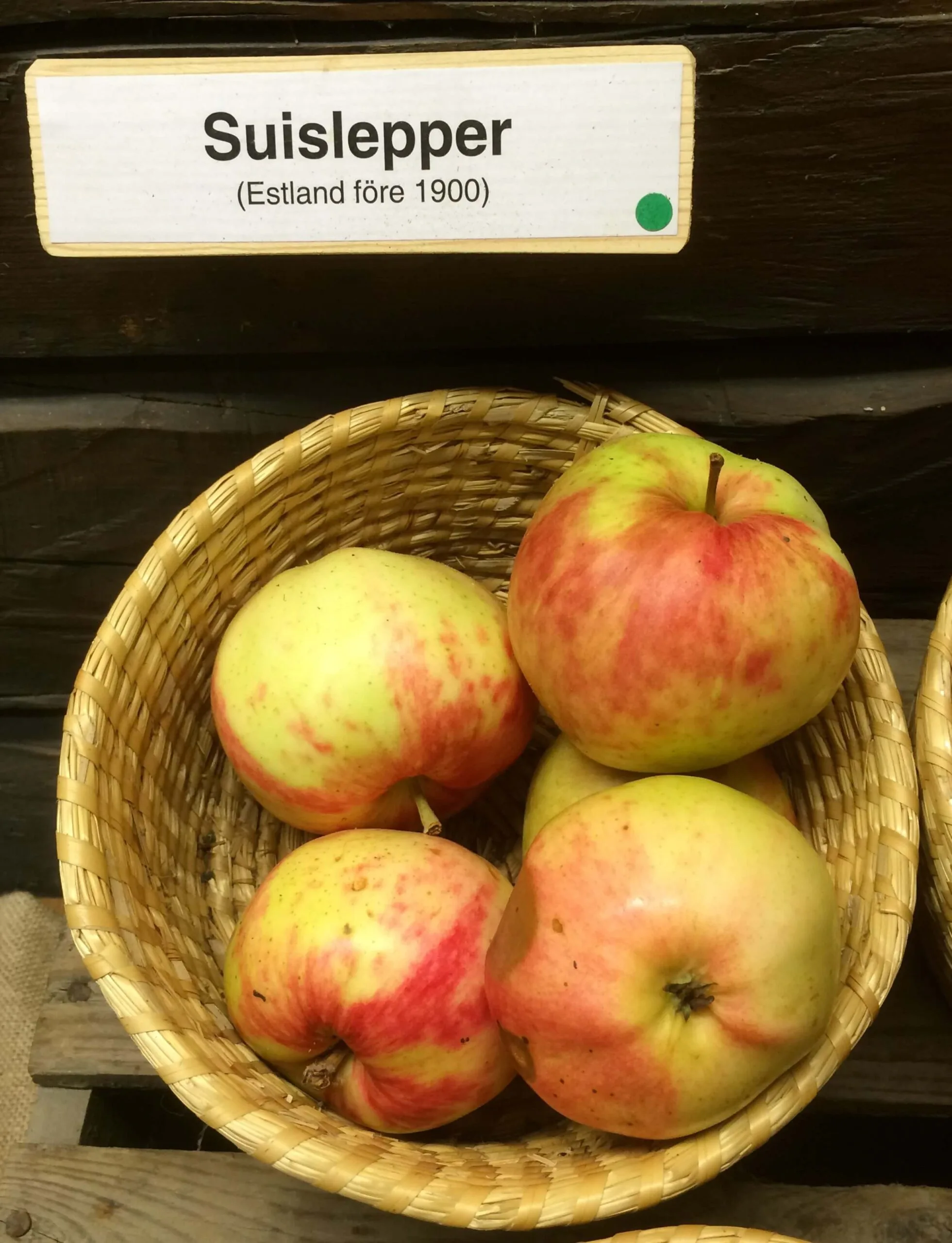 Malus domestica 'Suislepper'