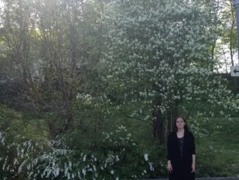 Amelanchier spicata fk Falun E