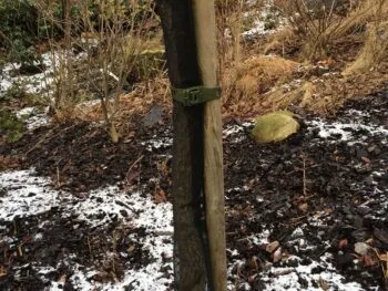Gnagskydd, nät