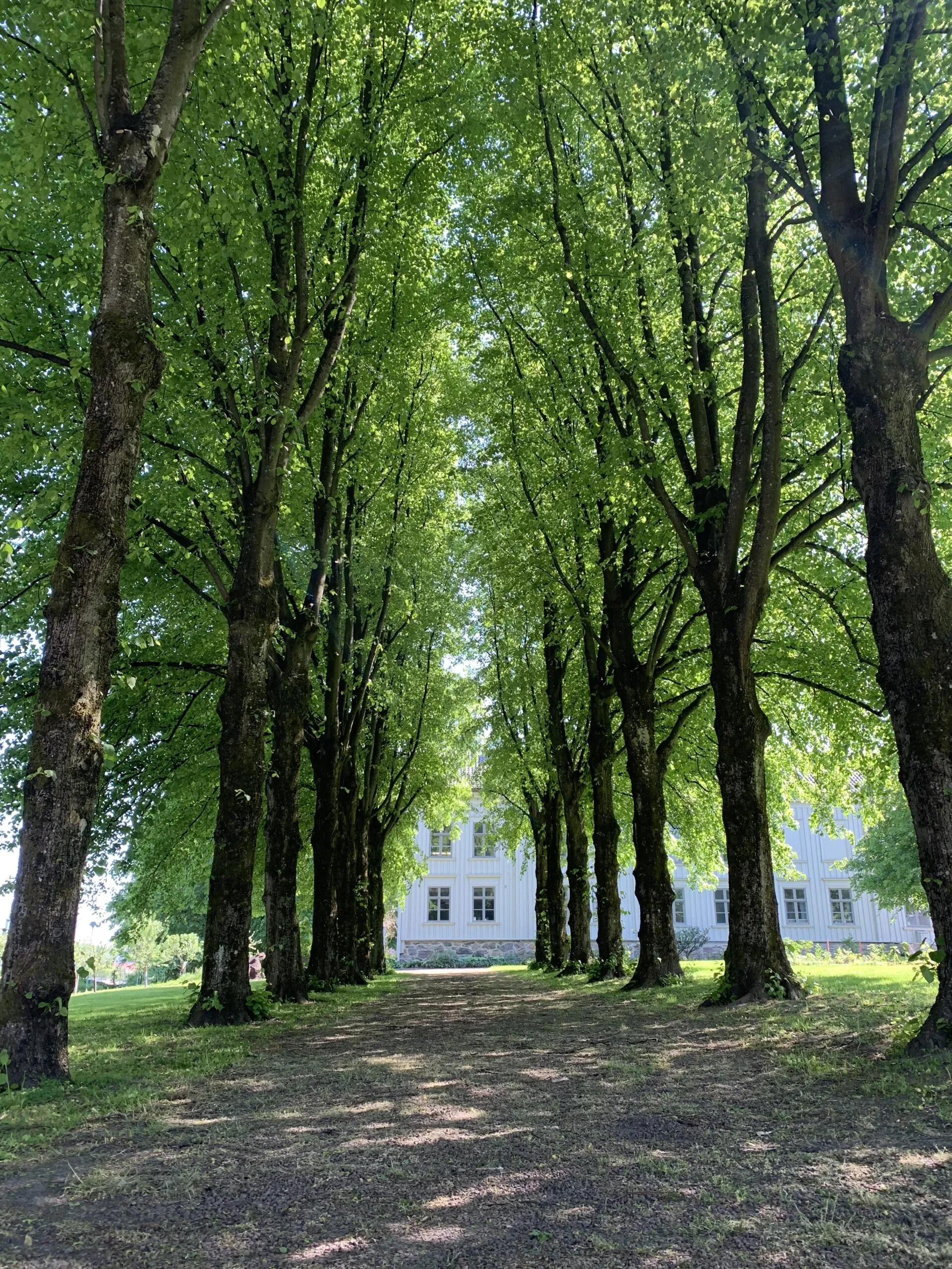 lindallé