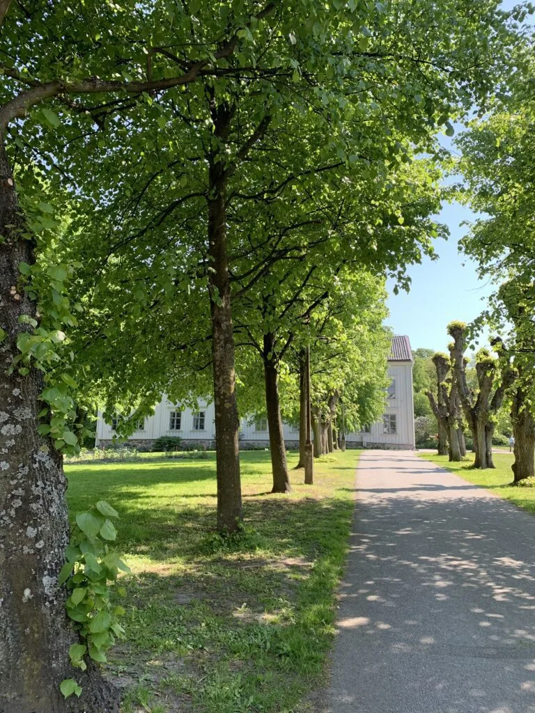 Alléträd herrgård